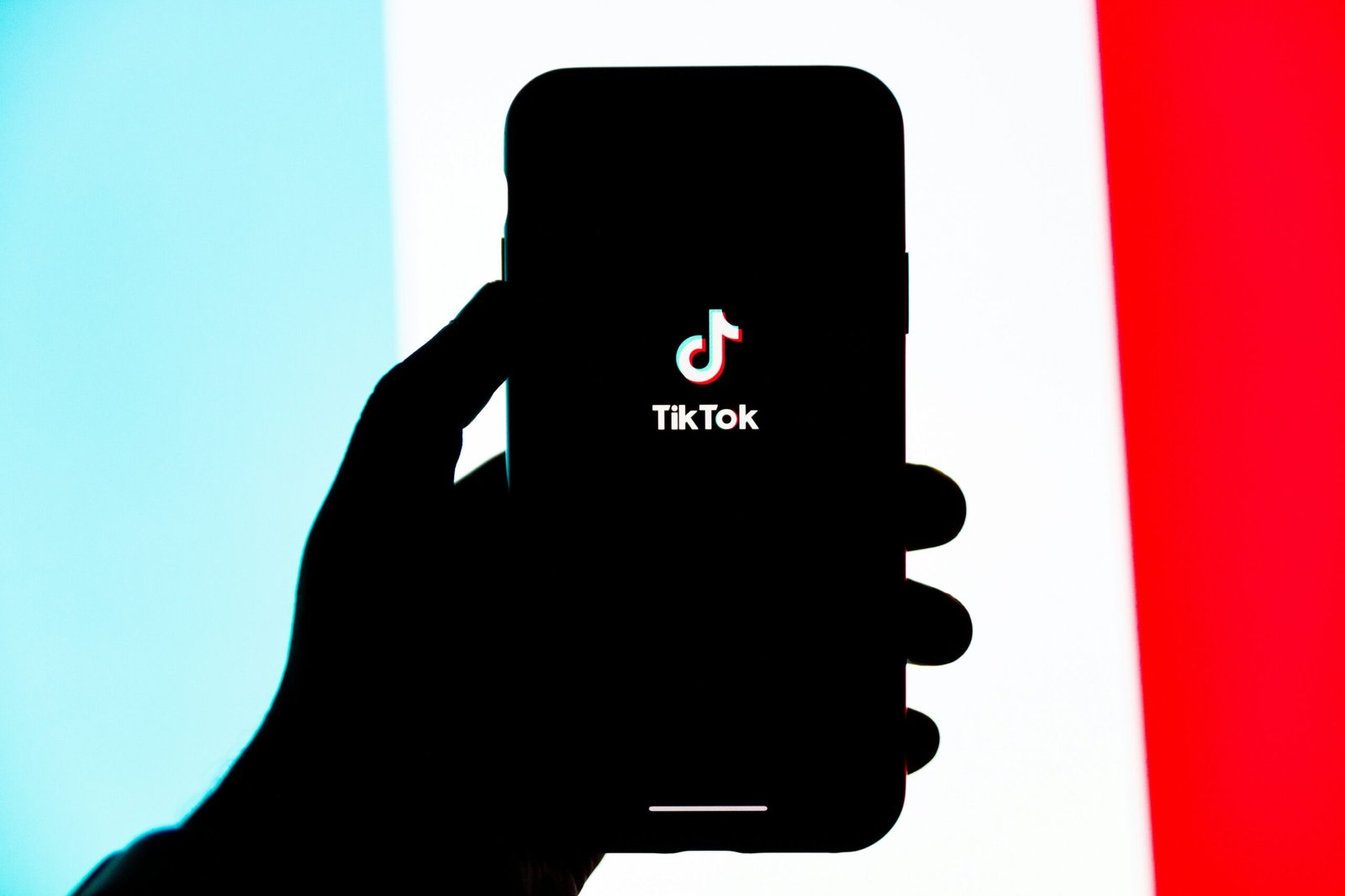 The Rise of Vertical Explainer Videos: Optimizing for TikTok and Instagram Reels